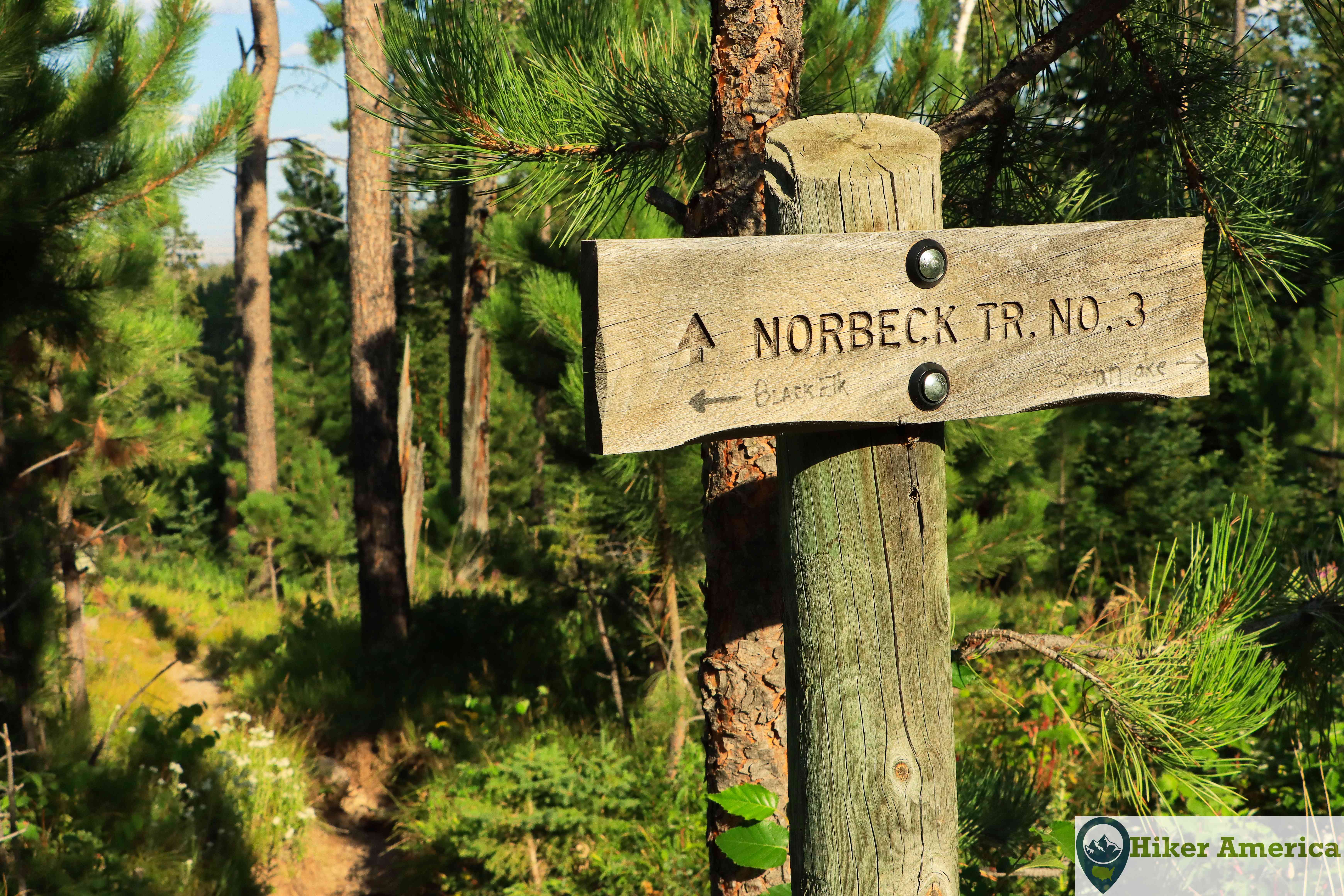 Junction with the Norbeck Trail and the Little Devils Tower Trail.